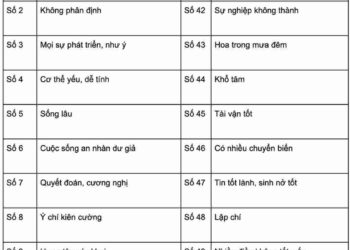 Biển số xe đẹp là biển số mang ý nghĩa tốt với chủ xe