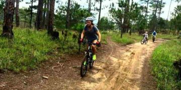 Chọn xe đạp đi phượt